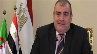 سفير مصر بالجزائر: لا إصابات بين أبناء الجالية جراء الهزات الأرضية