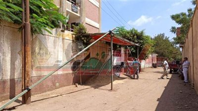 اليوم وغدًا.. 2 مليون و688 ألف ناخب يدلون بأصواتهم في انتخابات الشيوخ بـ”المنوفية“