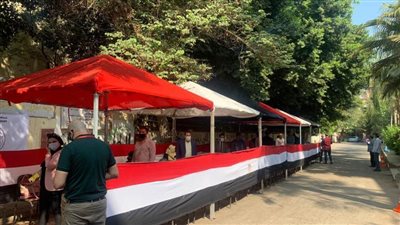 عدد أعضاء مجلس الشيوخ المصري 2020.. مصر تعيد إحياء الغرفة الثانية للبرلمان 