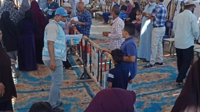 السيدات يتصدرن المشهد فى انتخابات الشيوخ بلجان الفيوم