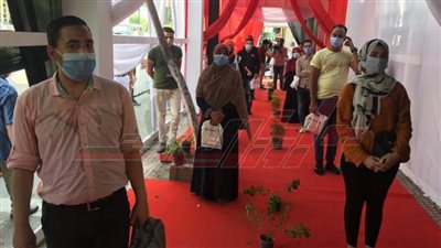 مصر تُبهر العالم في يوم انتخابي تاريخي.. صور 