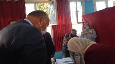 شكرى يشيد بتنظيم وتأمين انتخابات مجلس الشيوخ