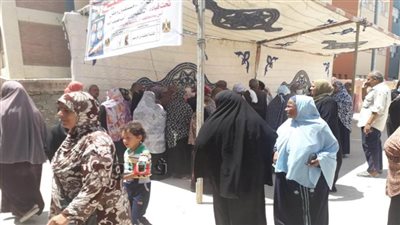 وفد الجامعة العربية يتفقد إحدى لجان انتخابات مجلس الشيوخ بالإسكندرية