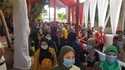 عمليات مستقبل وطن: توافد الناخبين بكثافة بالقاهرة على مقار اللجان للإدلاء بأصواتهم 