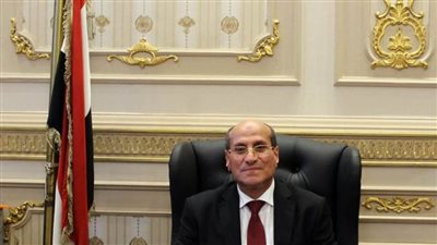 السيرة الذاتية للمستشار عبد الله شوضة رئيس مجلس القضاء الأعلى الجديد