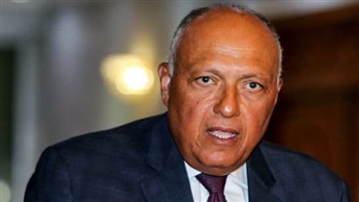 شكري: إدانة مصر أي ممارسات تركية تنتقص من السيادة العراقية 