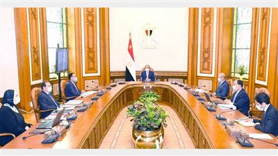 عاجل.. الرئيس السيسي يوجه بالاستمرار في جهود توفير المناخ الداعم لقطاع الصناعات الوطنية الثقيلة