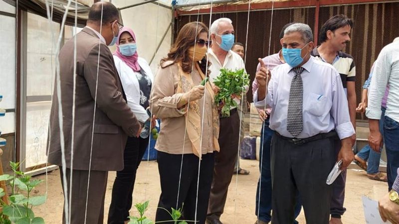 راندا خلال تفقد الصوب