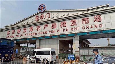 إعادة فتح أكبر سوق للجملة في بكين بعد انحسار 