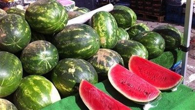 الزراعة: لا صحة لانتشار بطيخ مسمم في الأسواق