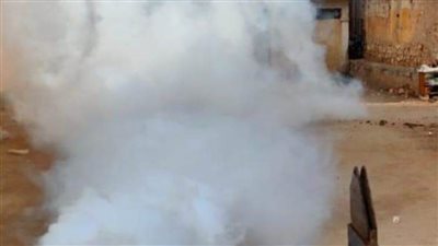 حمله لمكافحة البعوض بحي غرب