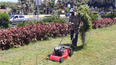 رعاية الحدائق والمسطحات الخضراء بحي وسط 