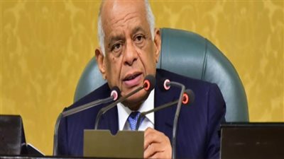 مجلس النواب يوافق مبدئيا على مشروع مقدم من الحكومة بإصدار قانون الجمارك