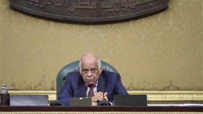 مجلس النواب ينتهي من مناقشة مشروع قانون الجمارك ويرجئ مادتين لجلسة عامة لاحقة