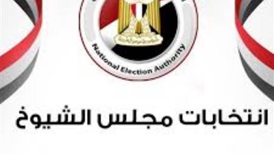 إعلان نتيجة انتخابات مجلس الشيوخ من ماسبيرو الأربعاء المقبل