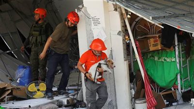 زلزال بقوة 6.6 درجات يضرب وسط الفلبين