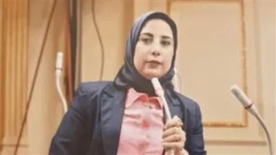 الشبراوي: قطاع النقل يُمثل قاطرة التنمية للاقتصادات الصاعدة