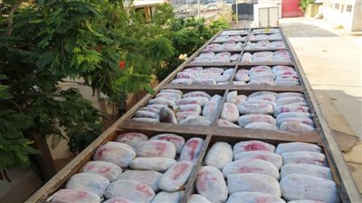 ضبط طن حشيش وبانجو وأفيون تقدر قيمته بـ30 مليون جنيه