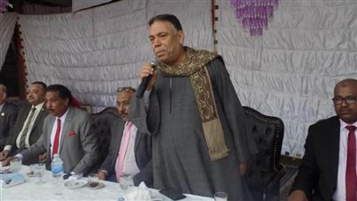 برلماني: قانون تقسيم الدوائر لبى مطالب القوي السياسية