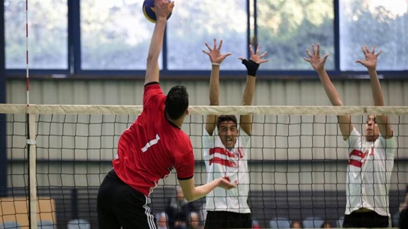 بوابة روز اليوسف