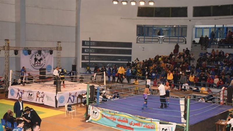 بوابة روز اليوسف