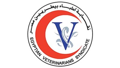 ننشر عناوين المقرات الانتخابية لـ