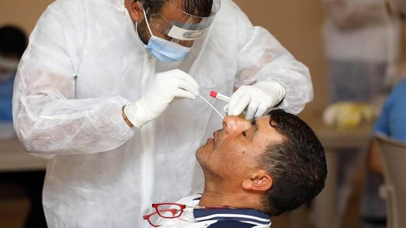 سلبية المسحة الطبية