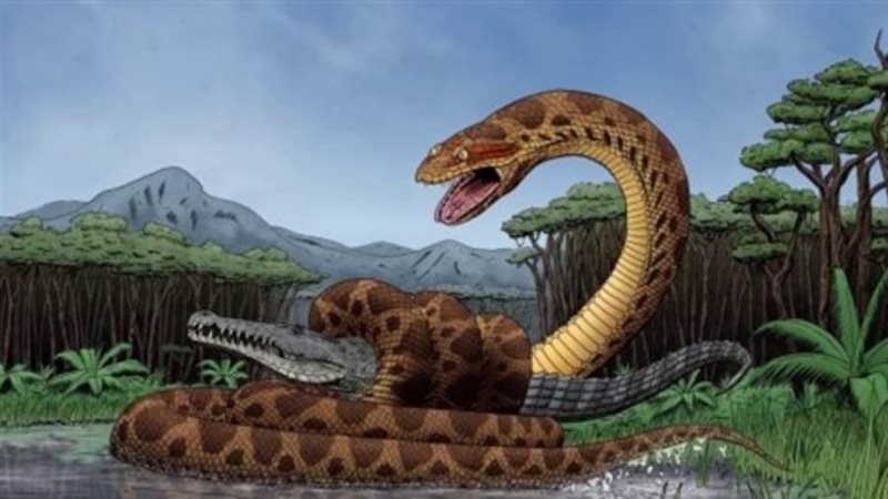 ثعبان يسيطر علي الغابات