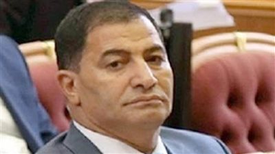 لجنة انتخابات البيطريين: الإعلان الرسمي لنتائج الاقتراع السبت