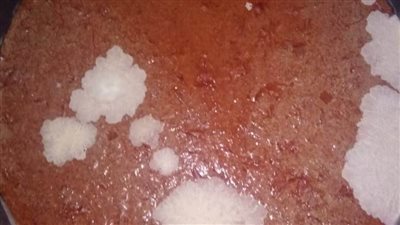 صحة الشرقية: إعدام ٨ أطنان أغذية فاسدة بمخزن بالعاشر من رمضان