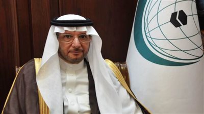 منظمة التعاون الإسلامي تكمل تسليم المساعدات الطارئة للشعب اللبناني