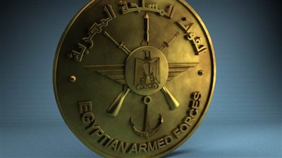 الجالية المصرية تثمن دور القوات المسلحة في التصدي للعناصر التكفيرية