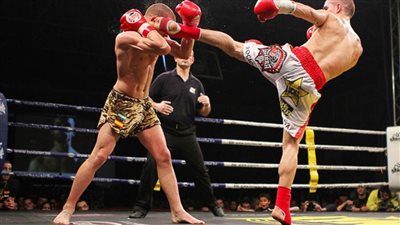 10 قرارات حاسمة في «العمومية» الأولى للاتحاد المصري للكيك بوكسينج