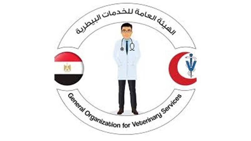 الهيئة العامة للخدمات