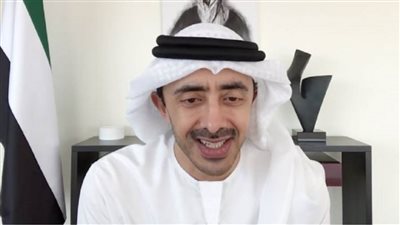 وزير الخارجية الإماراتي: ندعم الموقف العربي الداعي إلى قيام دولة فلسطينية مستقلة 