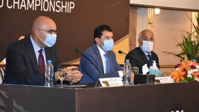 هشام نصر : الأرجنتين و البحرين وافقا على مواجهة منتخب اليد وديا