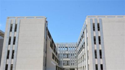 إنشاء كلية للثروة السمكية ومركز دولي لبحوث ذوي الإعاقة بجامعة دمياط