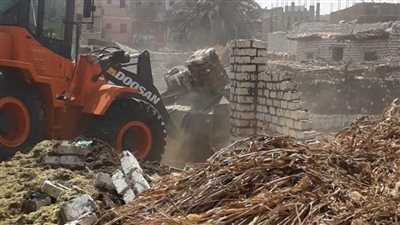  خطة لإزالة التعديات على 2500 فدان زراعة ببني سويف