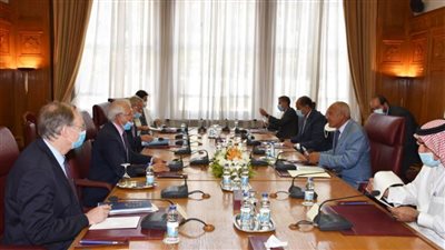 أبو الغيط: التأكيد على ثوابت القضية الفلسطينية