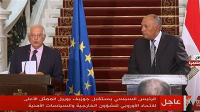 عاجل.. ممثل الاتحاد الأوربي: تقارير حقوق الإنسان التي صدرت ضد مصر 2016 حملت وقائع مغلوطة لم تحدث 