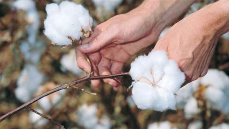 المحافظات التى توجد