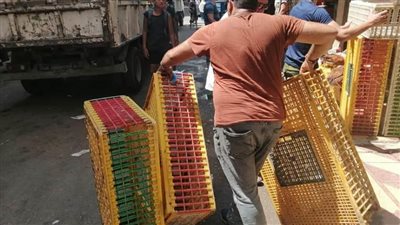 الإسكندرية تواصل الحملات للتصدي لظاهرة الإشغالات والتعديات بمحور المحمودية