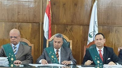 الإدارية العليا: الإضراب في المرافق الحيوية عدوان صارخ على سلامة الدولة وأمنها الوطني