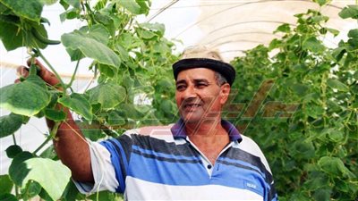 عم عبد الوهاب.. مهندس أفني حياته في خدمة المزارعين