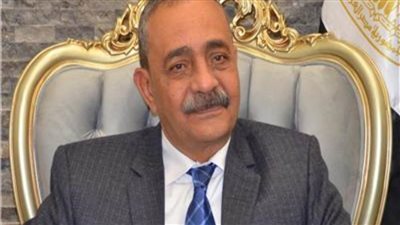 وفد جامعة الدول العربية بانتخابات 