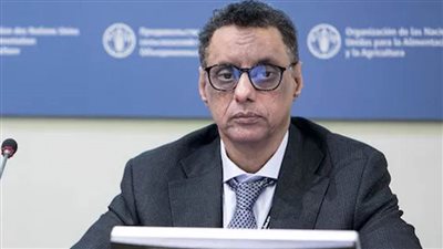 وزير موريتاني: قطاع المعادن يعاني نقصًا كبيرًا في الكادر البشري