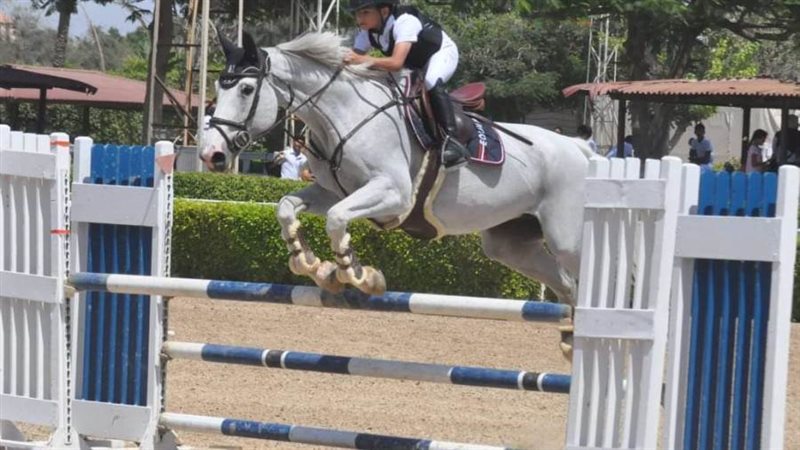 فروسية سموحه