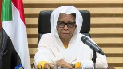 عضو بمجلس السيادة السوداني تناشد المجتمع الدولي دعم جهود مساعدة اللاجئين