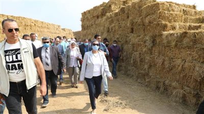وزيرة البيئة تتفقد عددًا من مواقع قش الأرز بالشرقية