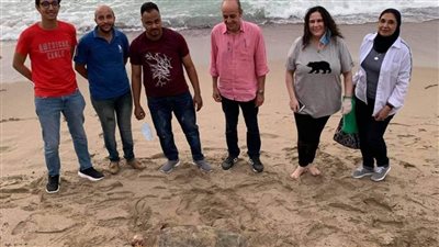 فريق إنقاذ الحيوانات البرية يطلق سلحفاة لمياه البحر